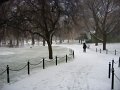 snow in public garden